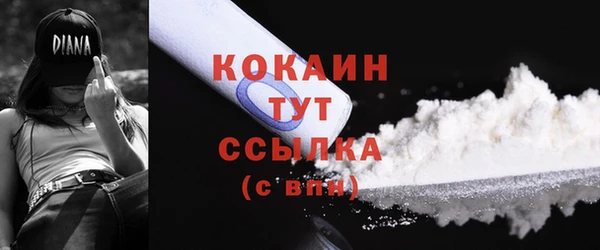дурь Нея