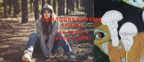 синтетический гашиш Нефтекумск