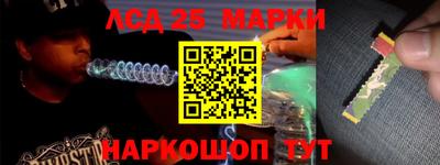 гидропоника Гусев