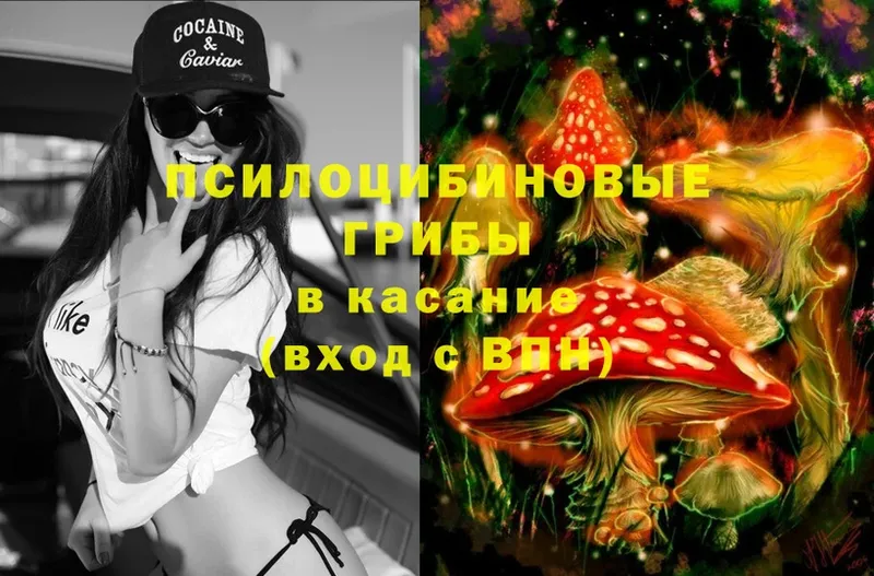 Псилоцибиновые грибы Magic Shrooms  сайты даркнета клад  Кудрово 