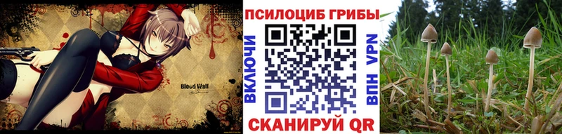 Псилоцибиновые грибы Magic Shrooms  закладка  гидра вход  Кудрово 