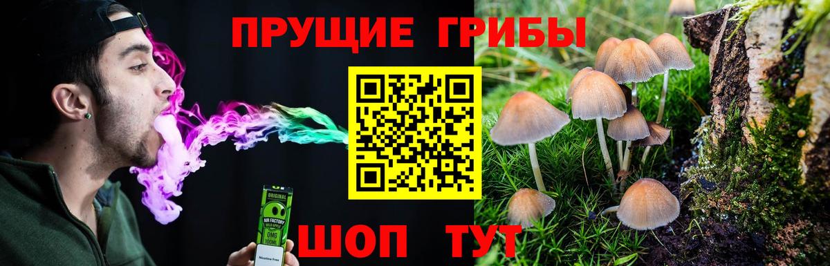 Псилоцибиновые грибы ЛСД Кудрово